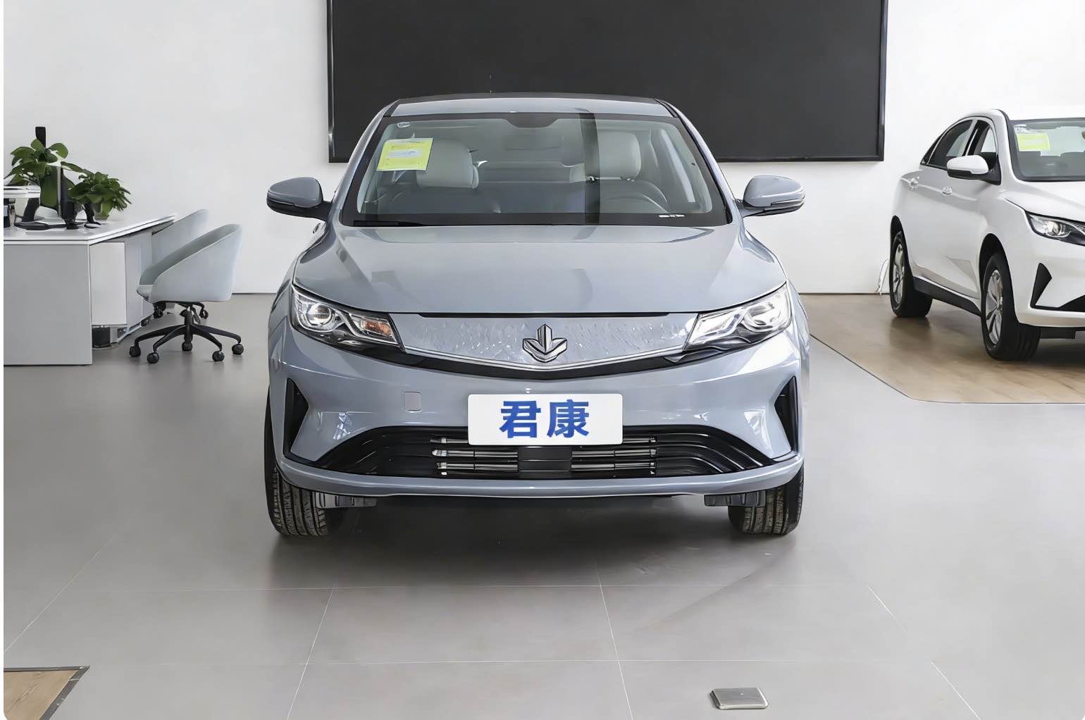 睿蓝 枫叶60S Pro